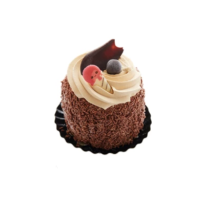 Klassiek-ijstaartje-mokka-melkchocolade